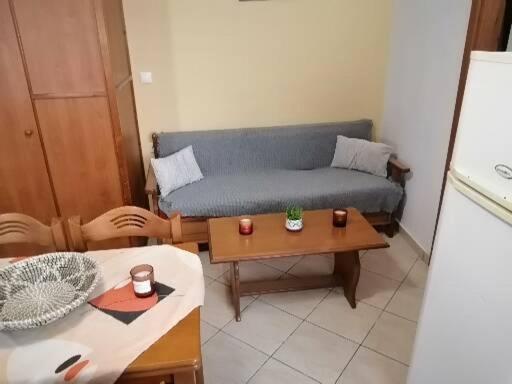 Samos House Apartment Bagian luar foto